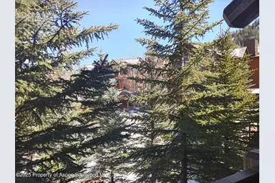 0197 Prospector Road Unit 2310 Summer Interest #12, Aspen, CO 81611 - Photo 29