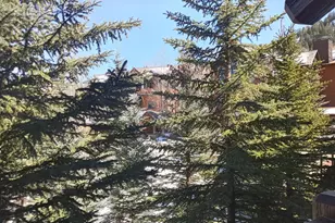 0197 Prospector Rd, Aspen, CO 81611 - Photo 29