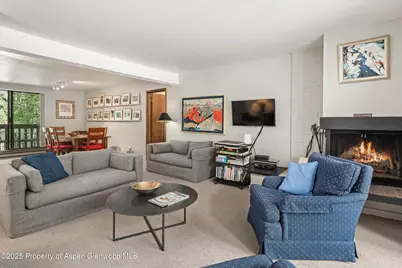 1024 E Hopkins Avenue #16, Aspen, CO 81611 - Photo 3