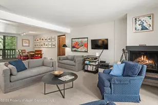 1024 E Hopkins Ave, Aspen, CO 81611 - Photo 3