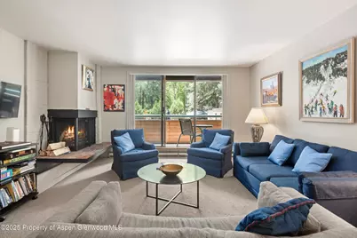 1024 E Hopkins Avenue #16, Aspen, CO 81611 - Photo 1