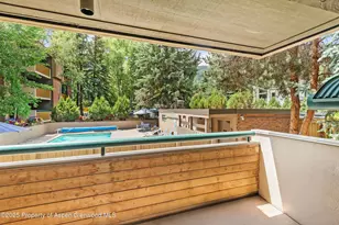 1024 E Hopkins Ave, Aspen, CO 81611 - Photo 15