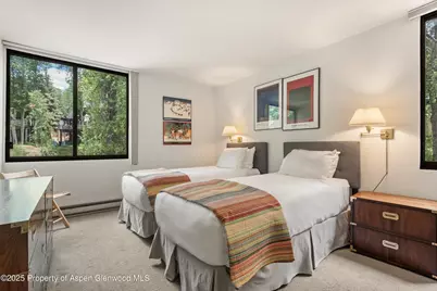 1024 E Hopkins Avenue #16, Aspen, CO 81611 - Photo 9