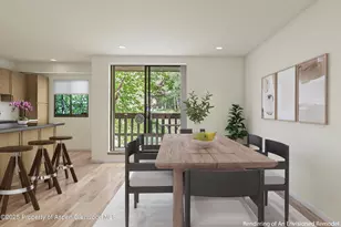 1024 E Hopkins Ave, Aspen, CO 81611 - Photo 5