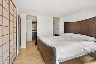 935 E Hopkins Ave, Aspen, CO 81611 - Photo 13