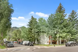 935 E Hopkins Ave, Aspen, CO 81611 - Photo 5