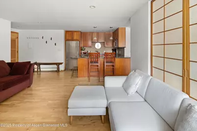 935 E Hopkins Avenue #7, Aspen, CO 81611 - Photo 9