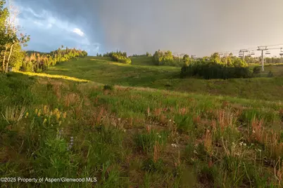 473 Creek Lane, Snowmass Village, CO 81615 - Photo 23