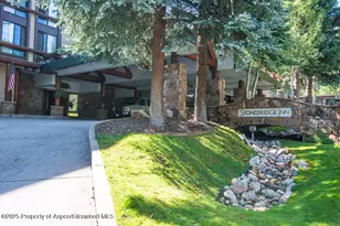 300 Carriage Way, Snowmass Village, CO 81615 - Photo 15