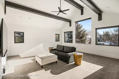 139 River Glen Road, Carbondale, CO 81623 - Photo 27