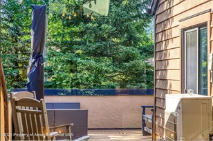 52 Harleston Green, Snowmass Village, CO 81615 - Photo 35