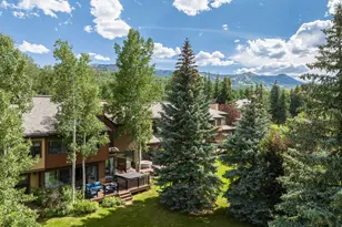 65 Harleston Green, Snowmass Village, CO 81615 - Photo 21