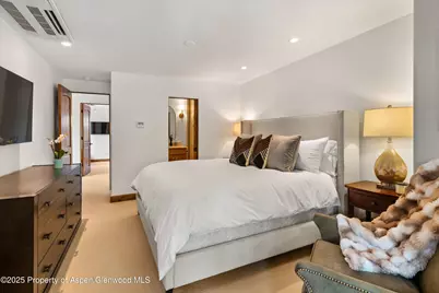 710 S Mill Street #6 & 7, Aspen, CO 81611 - Photo 15