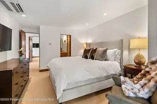 710 S Mill St, Aspen, CO 81611 - Photo 15