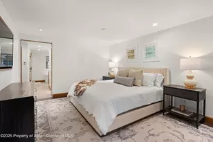 710 S Mill St, Aspen, CO 81611 - Photo 21