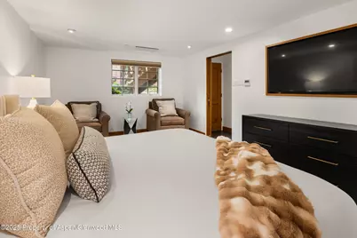 710 S Mill Street #6 & 7, Aspen, CO 81611 - Photo 23