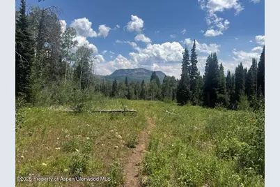 6398 County Road 4, Meeker, CO 81641 - Photo 35