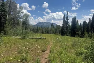 6398 Co Rd 4, Meeker, CO 81641 - Photo 35