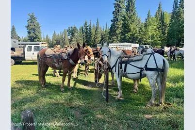 6398 County Road 4, Meeker, CO 81641 - Photo 5