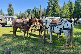 6398 Co Rd 4, Meeker, CO 81641 - Photo 5