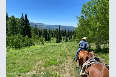 6398 County Road 4, Meeker, CO 81641 - Photo 37