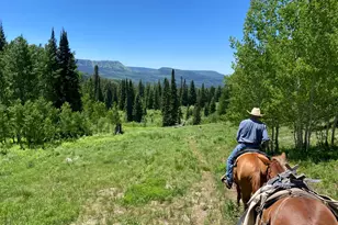 6398 Co Rd 4, Meeker, CO 81641 - Photo 37