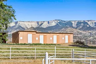 7781 Co Rd 320, Rifle, CO 81650 - Photo 63