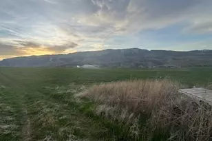 7781 Co Rd 320, Rifle, CO 81650 - Photo 17