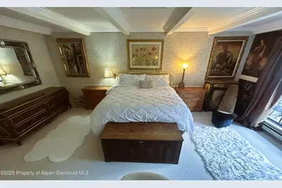1007 E E Hyman Avenue Avenue #7, Aspen, CO 81611 - Photo 3