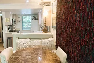 1007 E E Hyman Ave Ave, Aspen, CO 81611 - Photo 7