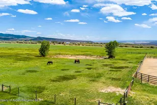 6800 Reeder Mesa Rd, Whitewater, CO 81527 - Photo 9