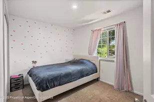 1217 Domelby Ct, Silt, CO 81652 - Photo 11