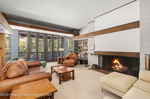 820 Twining Flats Rd, Aspen, CO 81611 - Photo 5