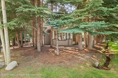 425 W North Street, Aspen, CO 81611 - Photo 27