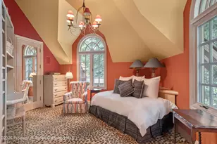 425 W North St, Aspen, CO 81611 - Photo 17