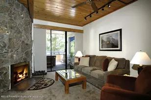 301 E Hyman Ave, Aspen, CO 81611 - Photo 9