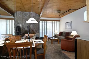 301 E Hyman Ave, Aspen, CO 81611 - Photo 7