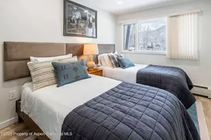 100 E Dean St, Aspen, CO 81611 - Photo 15