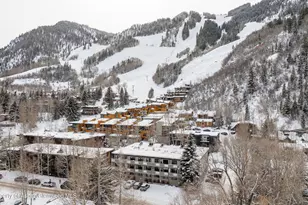 100 E Dean St, Aspen, CO 81611 - Photo 25