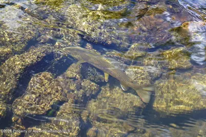 2650 Sweetwater Road, Gypsum, CO 81637 - Photo 27