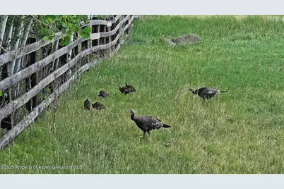 2650 Sweetwater Road, Gypsum, CO 81637 - Photo 85