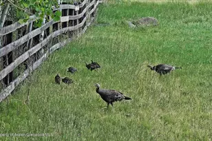 2650 Sweetwater Rd, Gypsum, CO 81637 - Photo 85