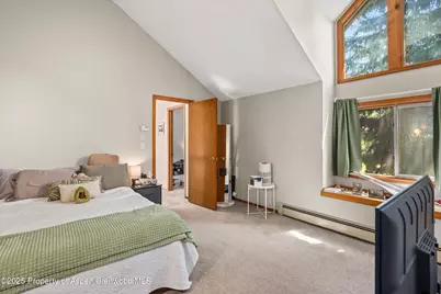 152 Wren Court, Basalt, CO 81621 - Photo 9