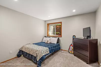 152 Wren Court, Basalt, CO 81621 - Photo 11