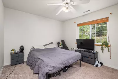 456 Black Bear Trail, Carbondale, CO 81623 - Photo 11