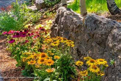 198 Edgewood Lane, Snowmass Village, CO 81615 - Photo 47