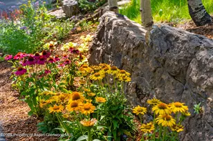 198 Edgewood Ln, Snowmass Village, CO 81615 - Photo 47