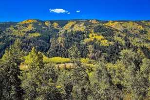 44481 Hwy 82, Aspen, CO 81611 - Photo 7