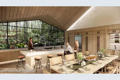 44481 Highway 82, Aspen, CO 81611 - Photo 9