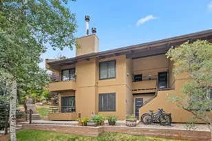 35 Lower Woodbridge Rd, Snowmass Village, CO 81615 - Photo 11